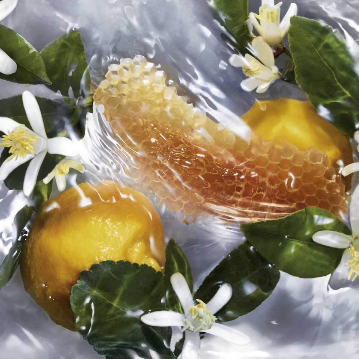 Tendenza profumi naturali, vegani e cruelty free Tendenza profumi naturali, vegani e cruelty free