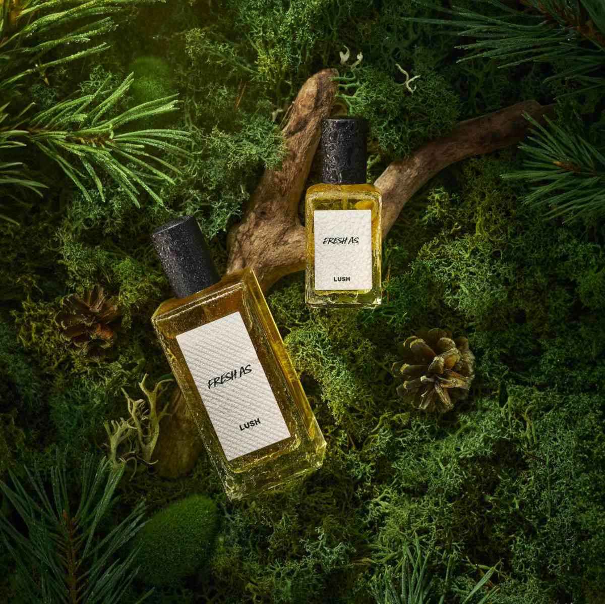 Profumi vegani e cruelty free Profumi vegani e cruelty free