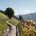 Vivere il risveglio della primavera a Scena in Alto Adige