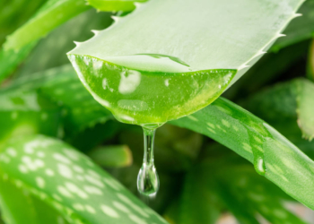 Aloe vera per pelle e capelli