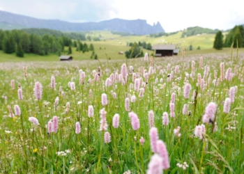 Estate a Siusi allo Sciliar