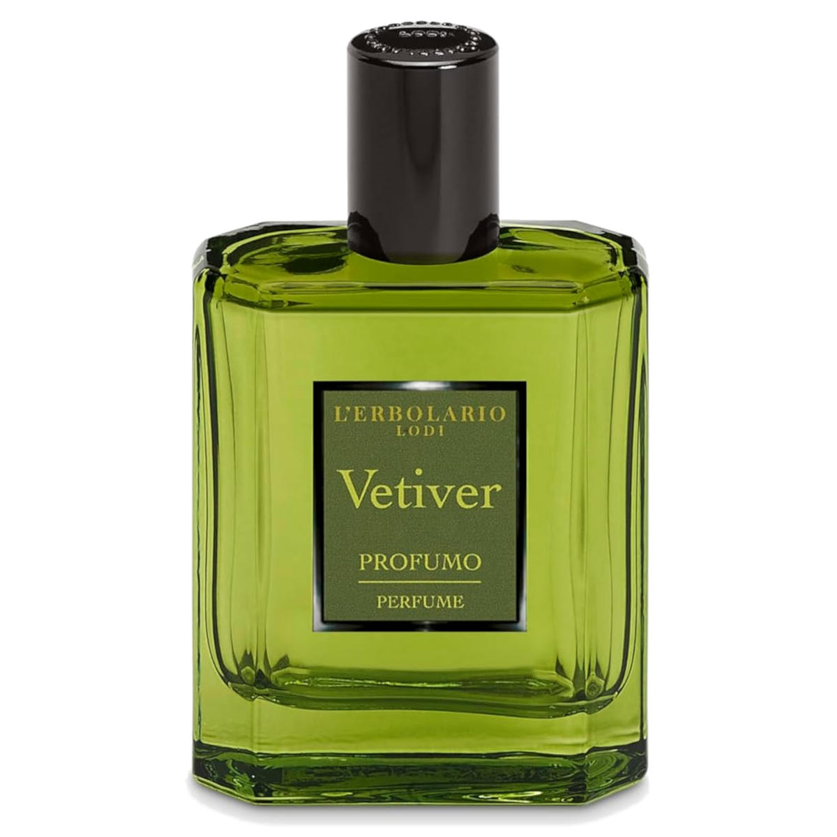 Perfume Vetiver o Herbar
