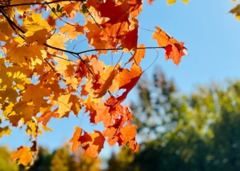 Benessere dโautunno a Bressanone