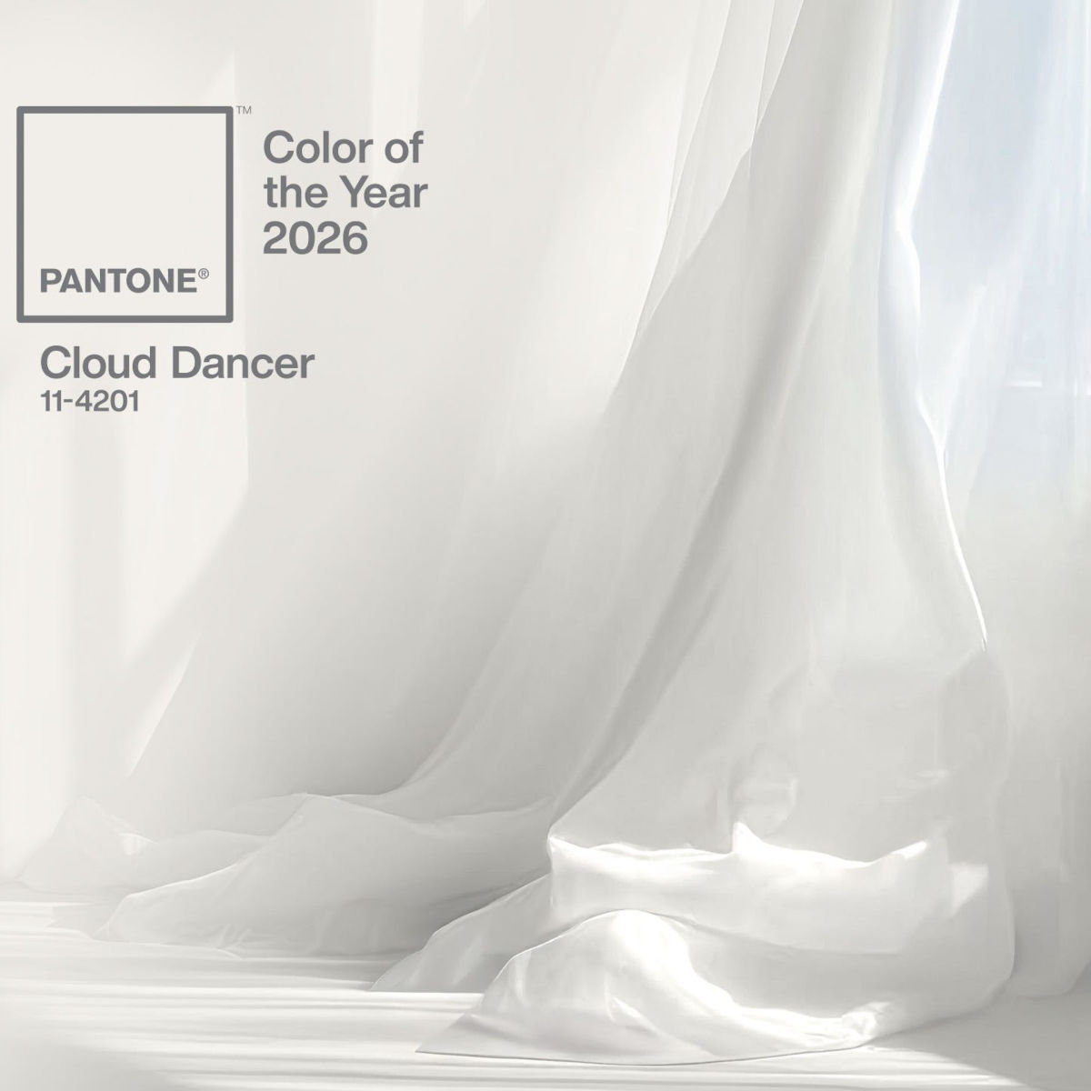 Trucco colore Pantone 2026 beauty Trucco colore Pantone 2026 beauty