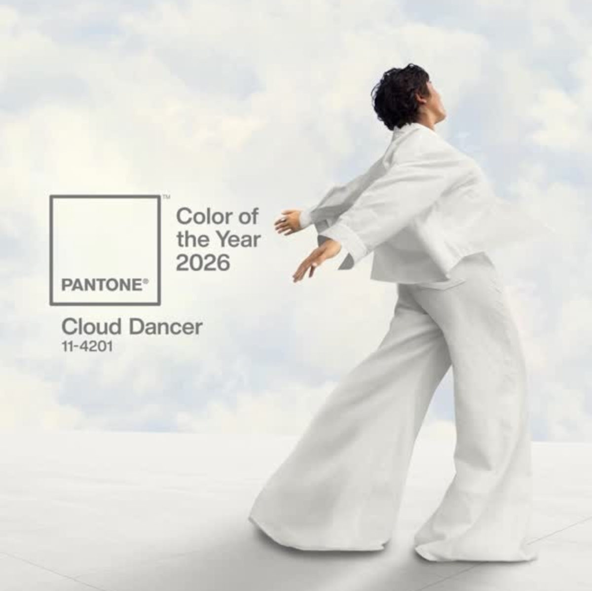 Trucco e prodotti beauty colore Pantone 2026 Trucco e prodotti beauty colore Pantone 2026