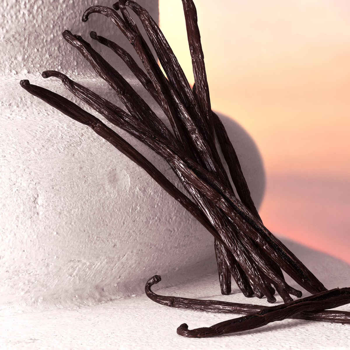 Profumi alla vaniglia tendenza 2026 Profumi alla vaniglia tendenza 2026