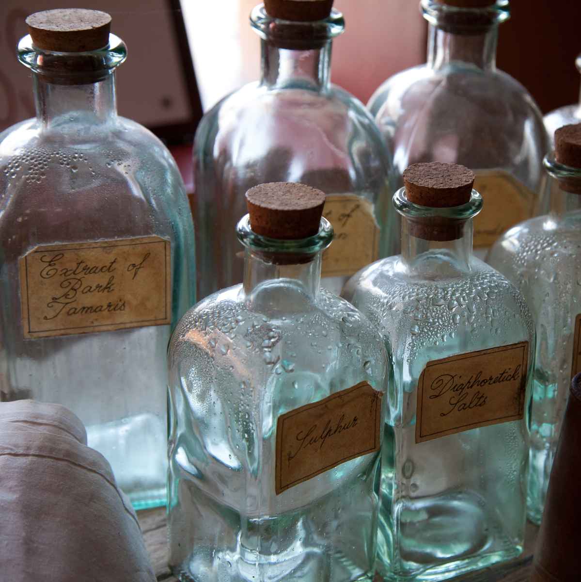 Note olfattive nei profumi unisex Note olfattive nei profumi unisex