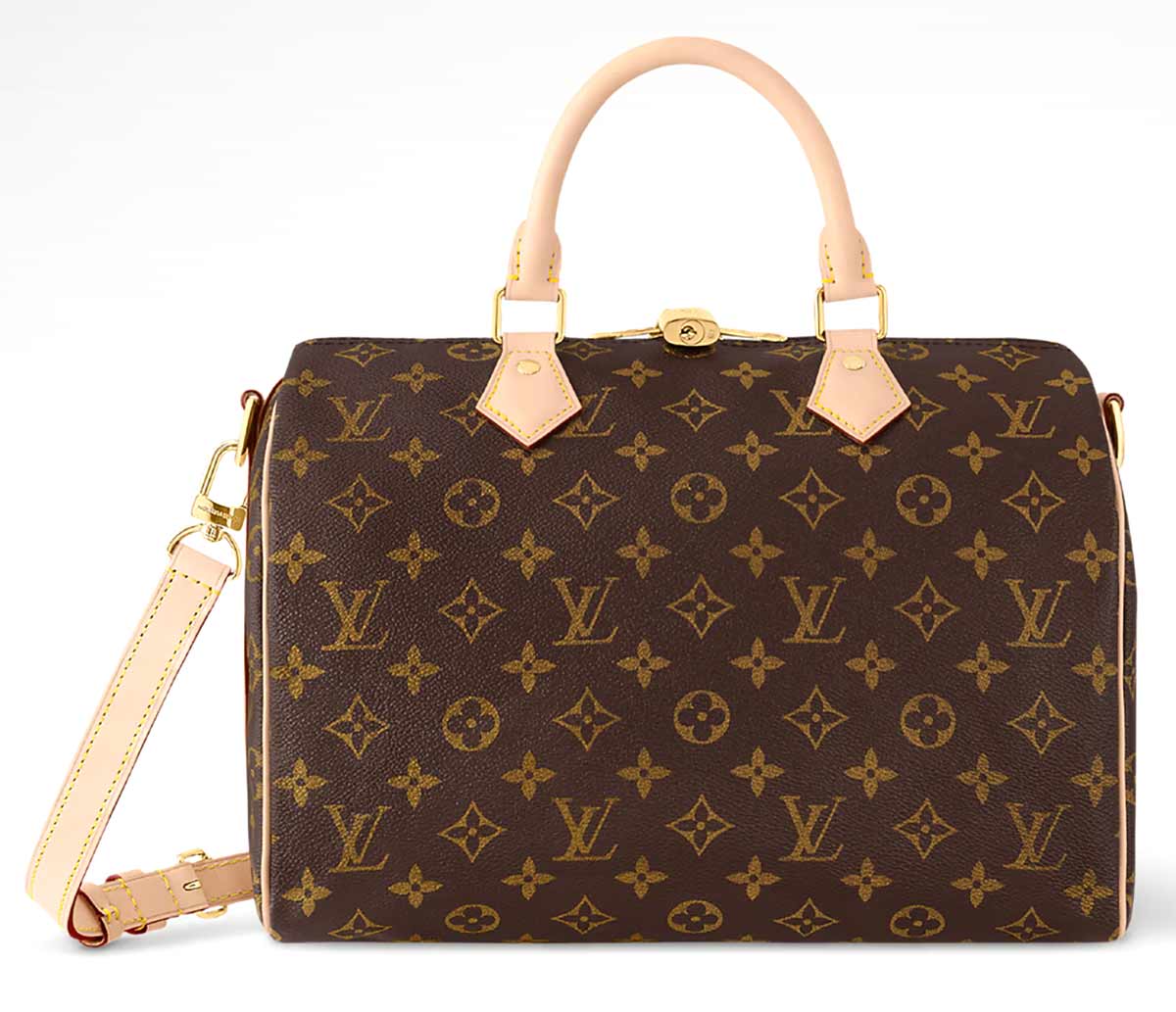 Louis Vuitton Speedy Louis Vuitton Speedy